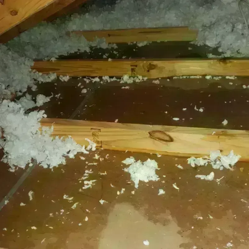 Attic Water Damage in Port Hadlock-Irondale, WA